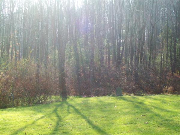 215 Mort Vining Road Southwick, MA 01077 - Photo 27 of 29 Gallery Image 27