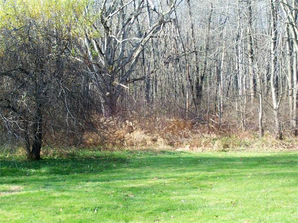 215 Mort Vining Road Southwick, MA 01077 - Photo 28 of 29 Gallery Image 28
