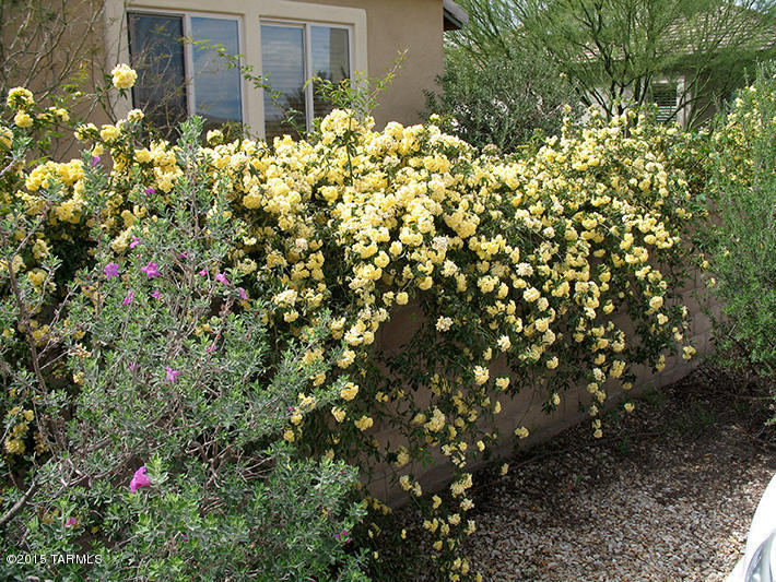 5542 South Creosote Ridge Way Tucson, AZ 85747 - Photo 29 of 40 Gallery Image 29