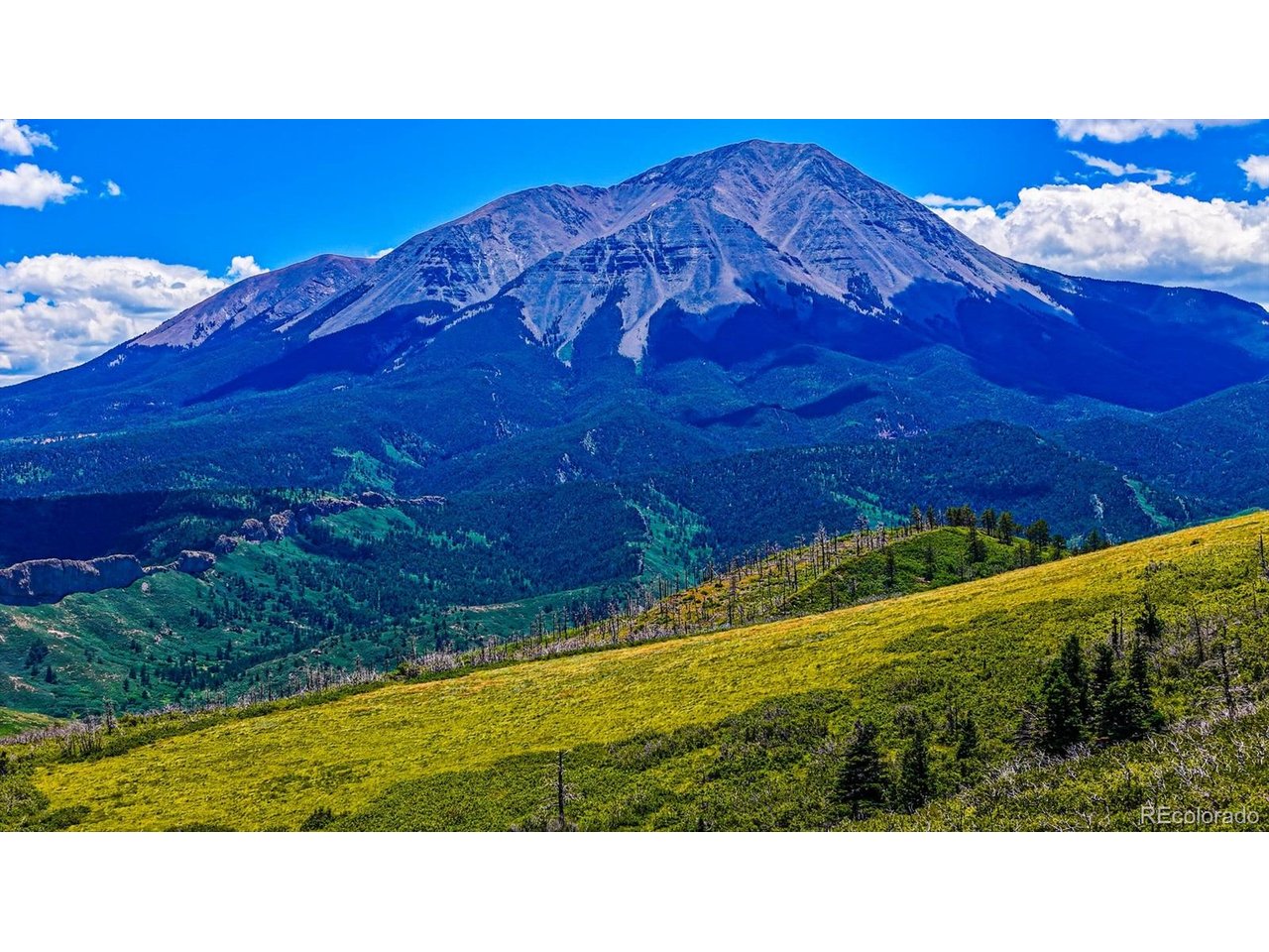 a black and white photo of a room