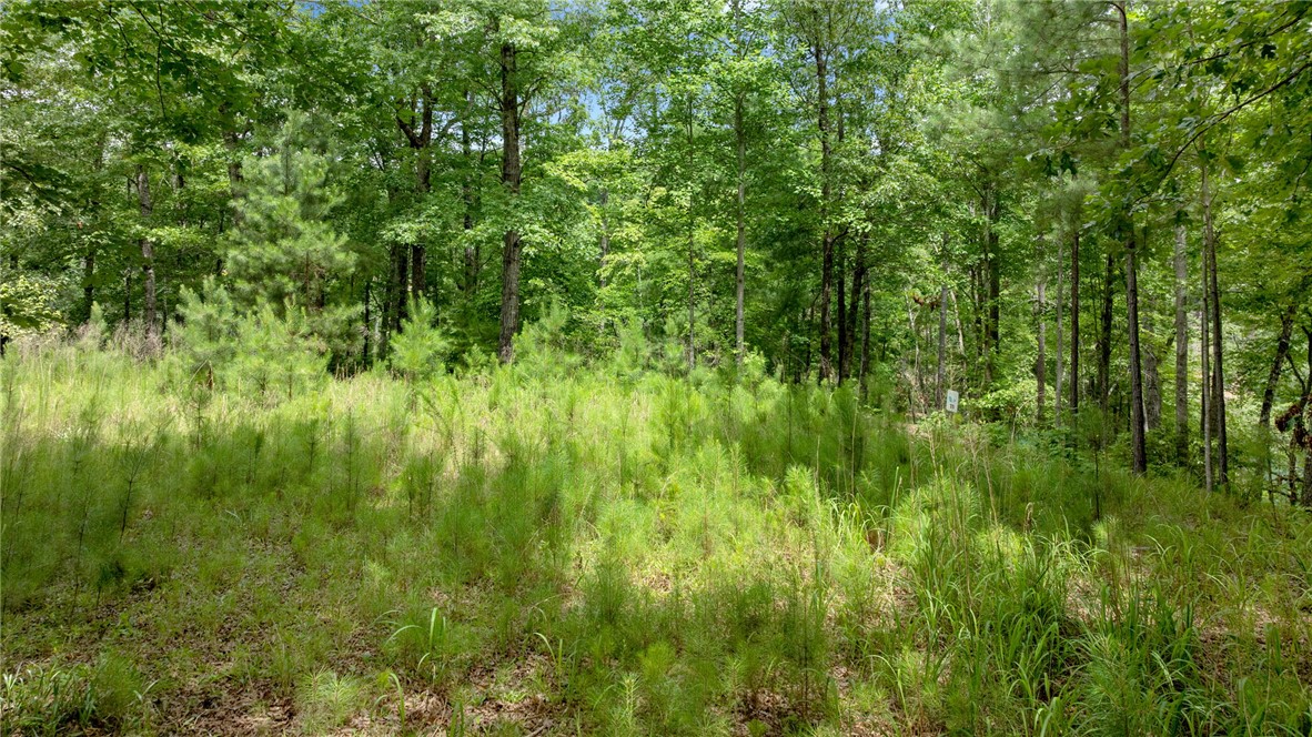 913 Rippling Water Way Salem, SC 29676 - Photo 8 of 15