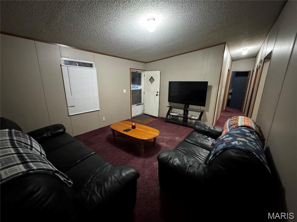 73 Cemetery Road Steelville, MO 65565 - Photo 4 of 9