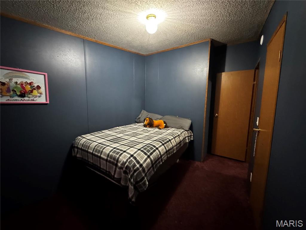 73 Cemetery Road Steelville, MO 65565 - Photo 6 of 9