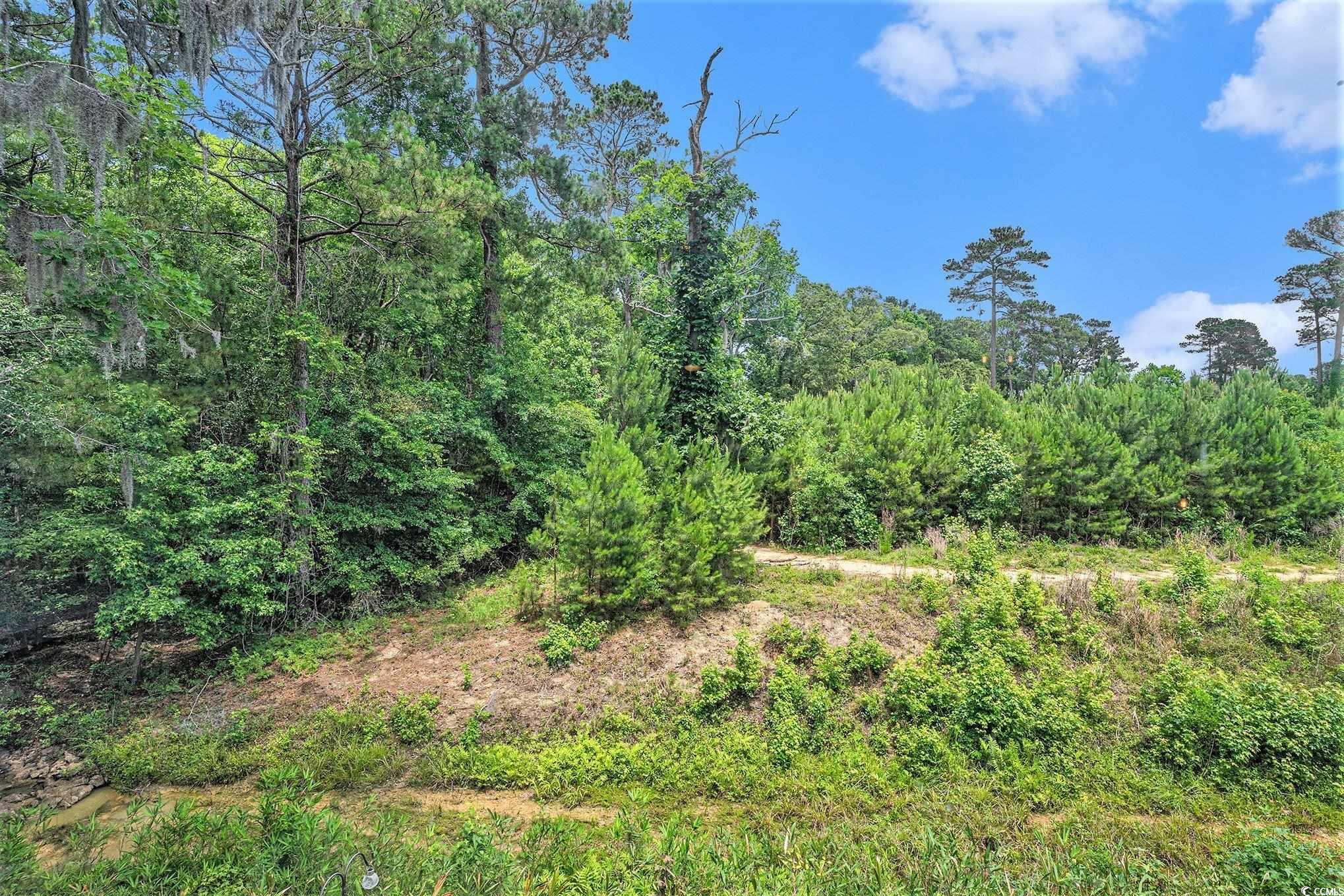 1460 Blue Tree Court, Unit E Myrtle Beach, SC 29588 - Photo 27 of 32