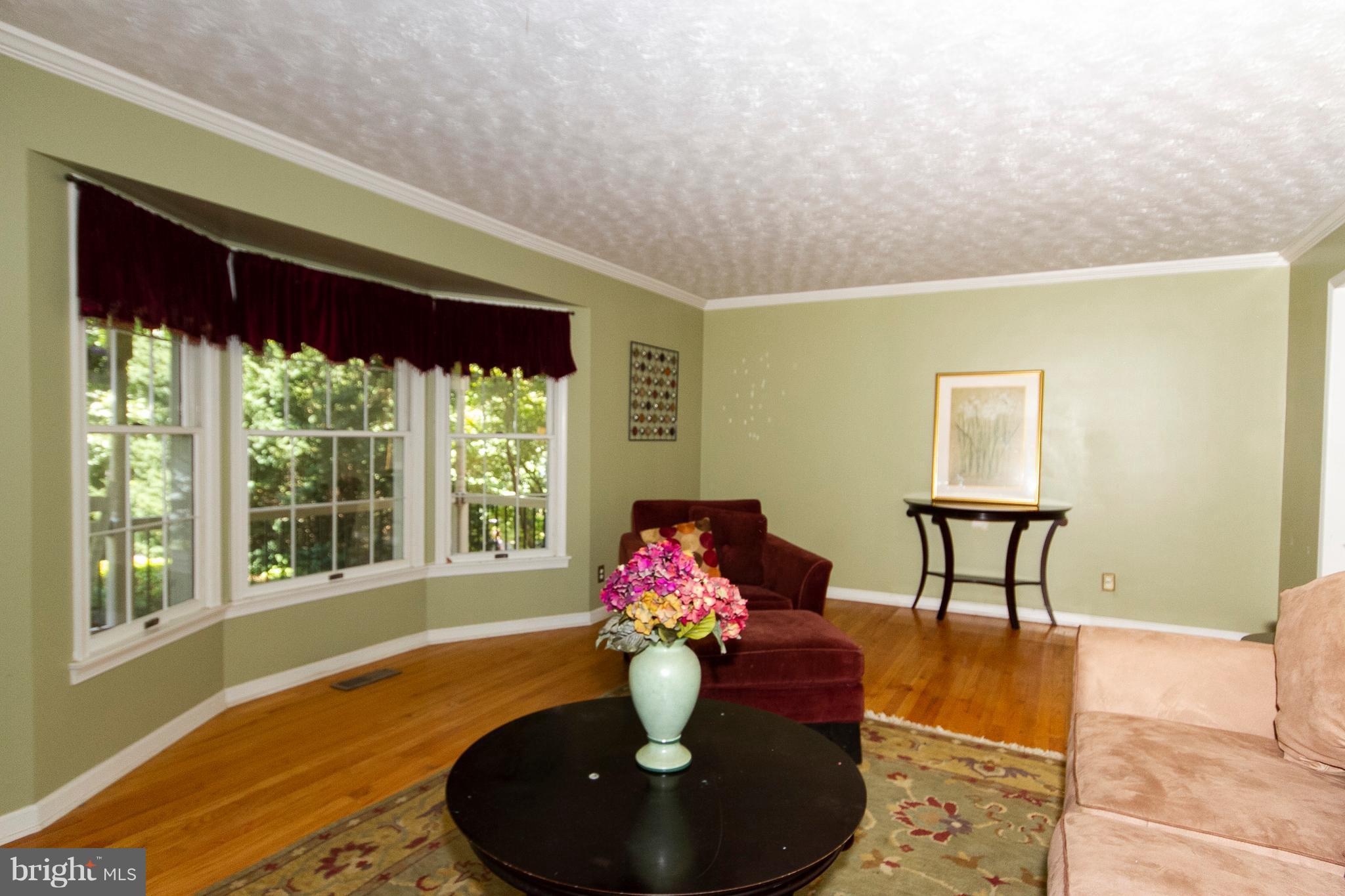 1907 Springview Court Fallston, MD 21047 - Photo 4 of 30 a living room with furniture and a potted plant