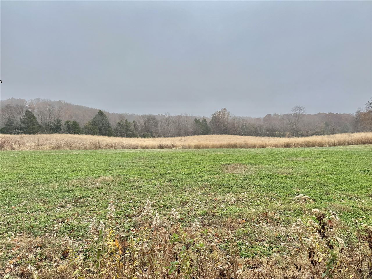 0 Duncan Road Alvaton, KY 42122 - Photo 10 of 14 Gallery Image 10