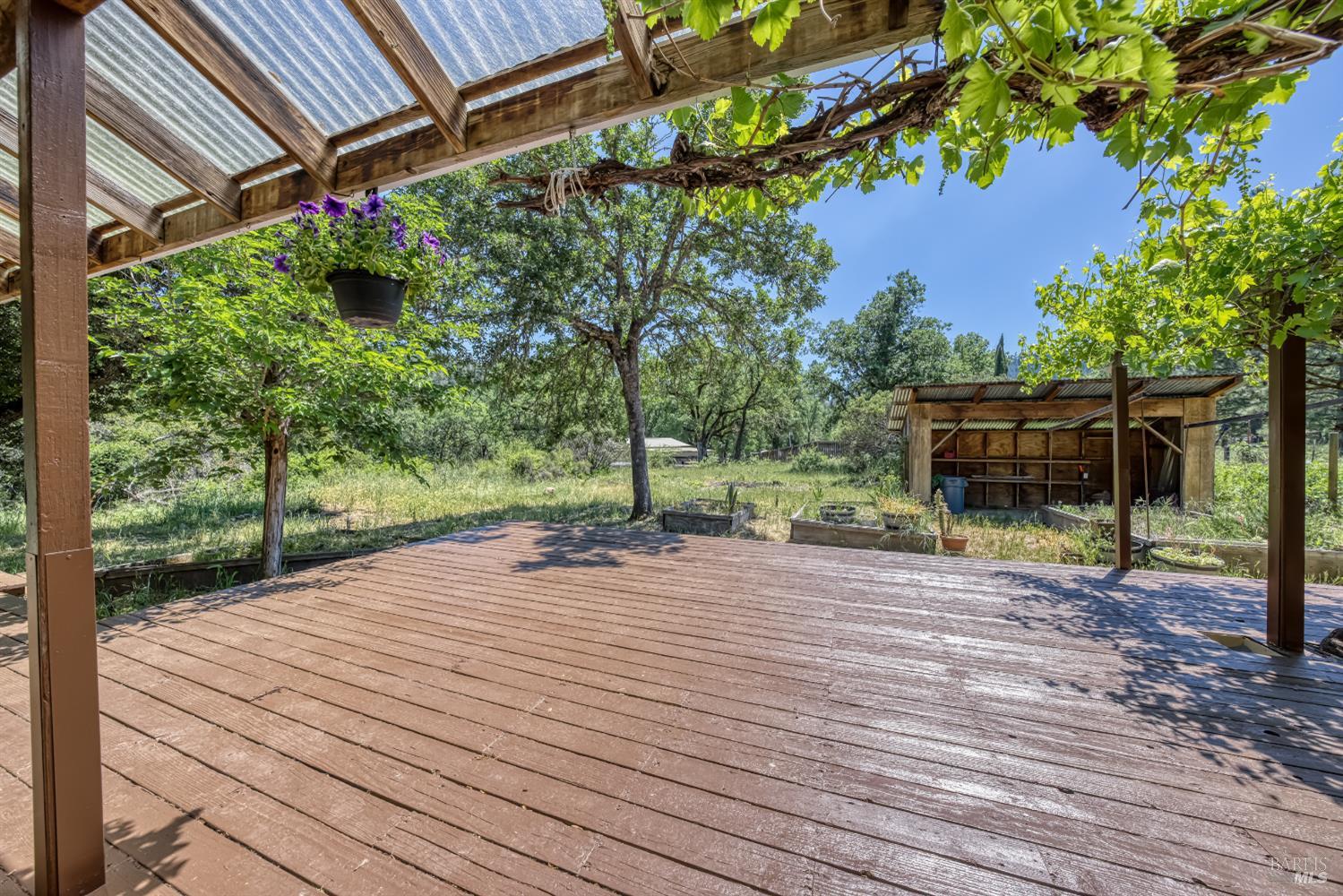 17651 Van Arsdale Road Potter Valley, CA 95469 - Photo 36 of 92 Back deck over looking garden beds and garden work area