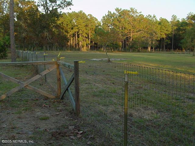 5369 Muscovy Road Middleburg, FL 32068 - Photo 6 of 11 side pasture