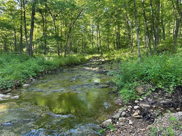 $199,900 | 0 Ray Hicks Road, Davisville, MO 65456