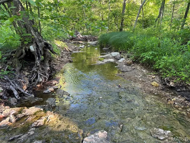 $199,900 | 0 Ray Hicks Road, Davisville, MO 65456