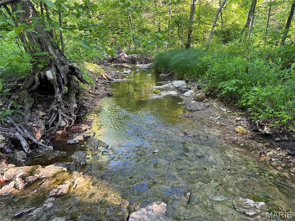 0 Ray Hicks Road Davisville, MO 65456 - Photo 14 of 28