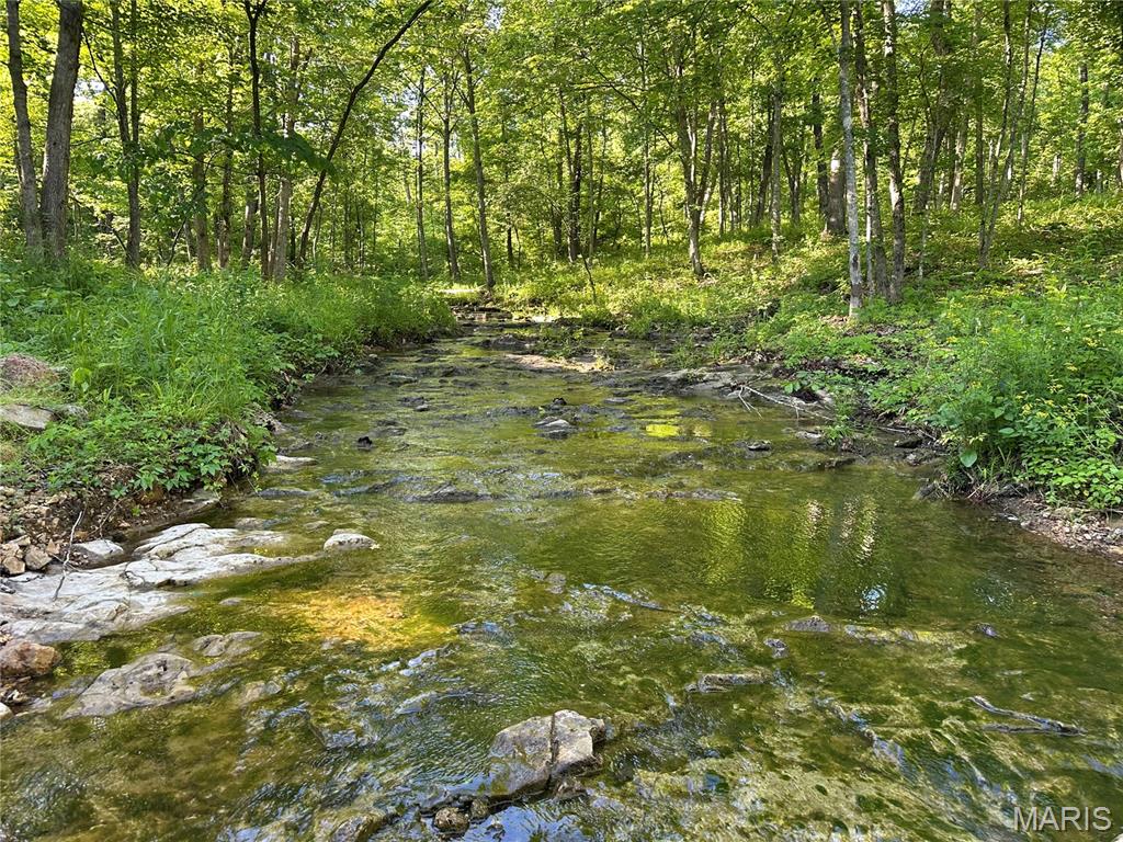 0 Ray Hicks Road Davisville, MO 65456 - Photo 15 of 28