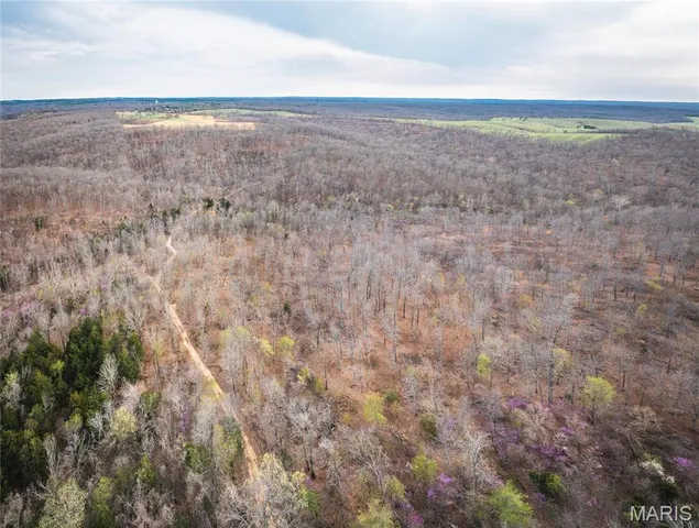 $199,900 | 0 Ray Hicks Road, Davisville, MO 65456