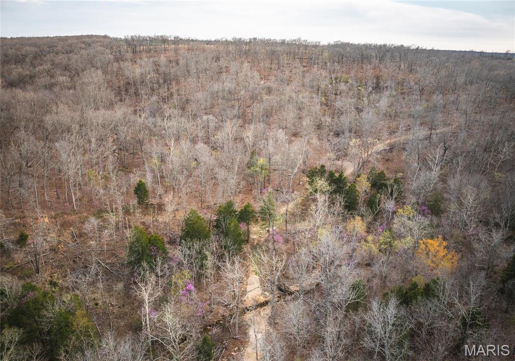 0 Ray Hicks Road Davisville, MO 65456 - Photo 18 of 28