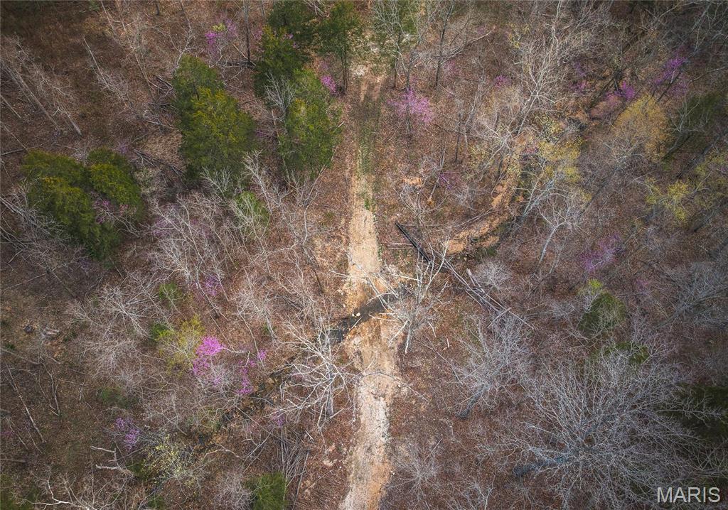 0 Ray Hicks Road Davisville, MO 65456 - Photo 19 of 28