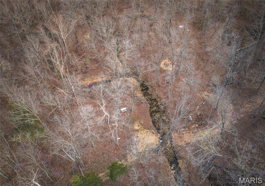 0 Ray Hicks Road Davisville, MO 65456 - Photo 20 of 28