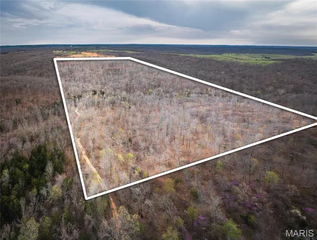 $199,900 | 0 Ray Hicks Road, Davisville, MO 65456