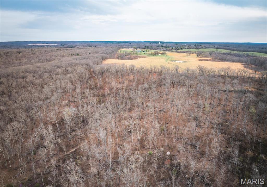 0 Ray Hicks Road Davisville, MO 65456 - Photo 22 of 28