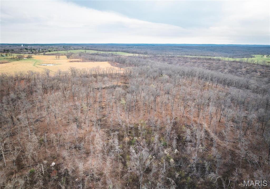 0 Ray Hicks Road Davisville, MO 65456 - Photo 23 of 28