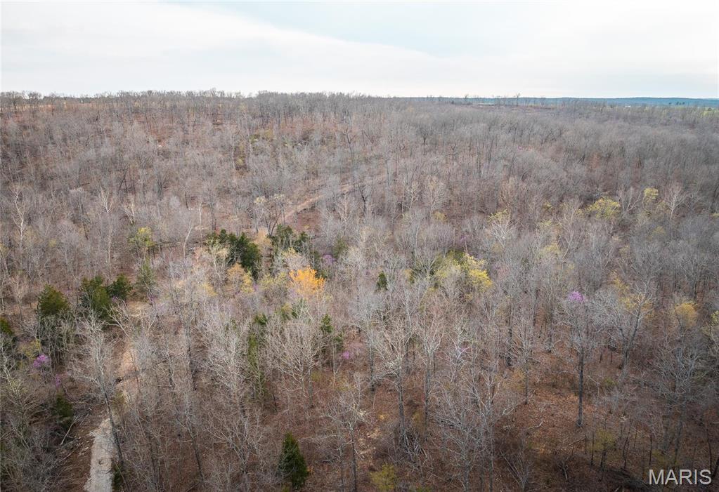 0 Ray Hicks Road Davisville, MO 65456 - Photo 25 of 28