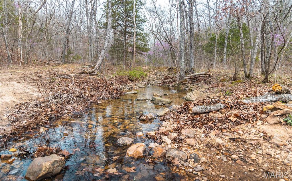 0 Ray Hicks Road Davisville, MO 65456 - Photo 26 of 28