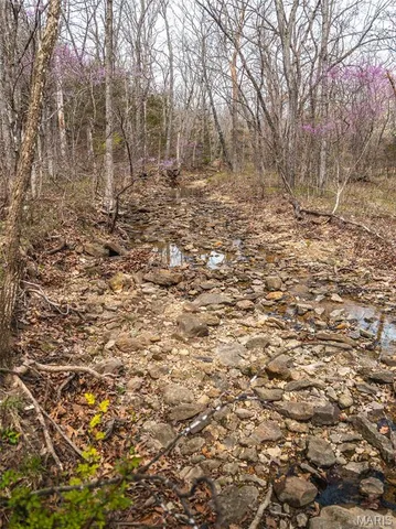 $199,900 | 0 Ray Hicks Road, Davisville, MO 65456