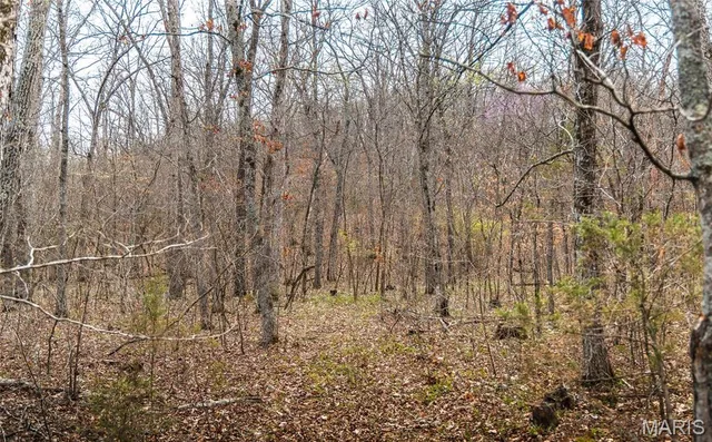 $199,900 | 0 Ray Hicks Road, Davisville, MO 65456