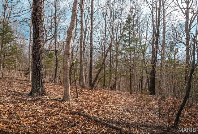 $199,900 | 0 Ray Hicks Road, Davisville, MO 65456