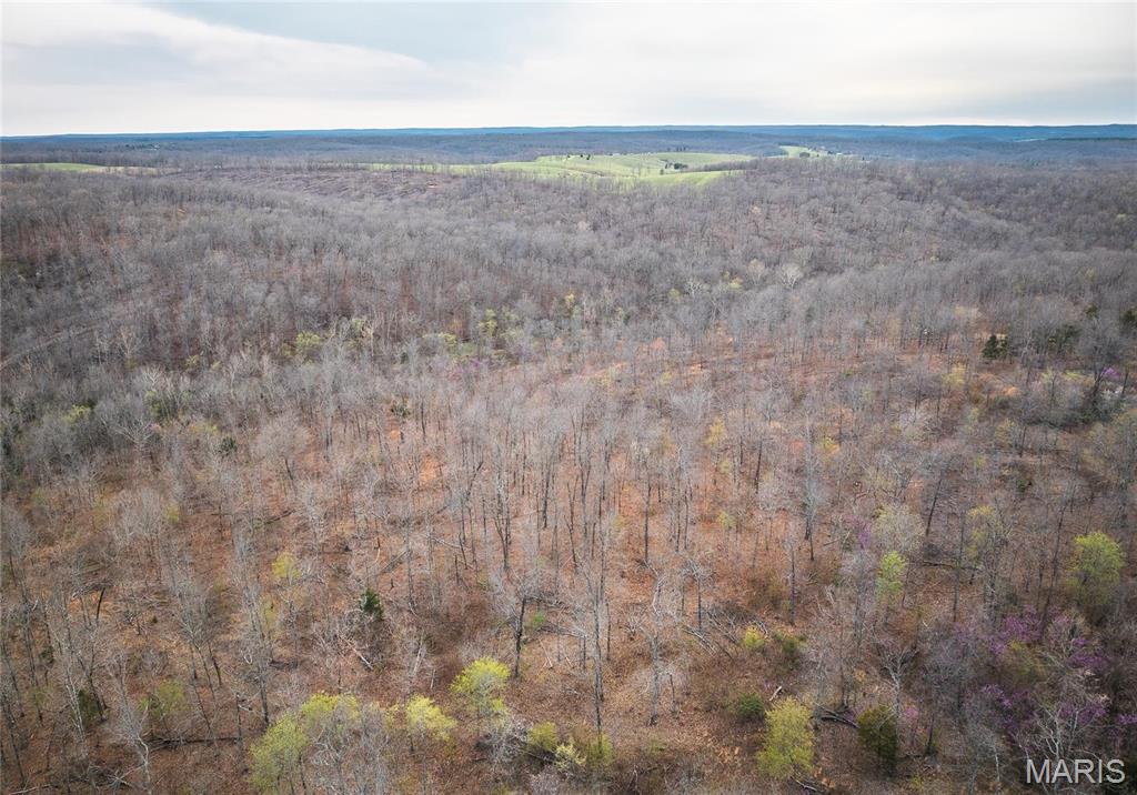 0 Ray Hicks Road Davisville, MO 65456 - Photo 8 of 28