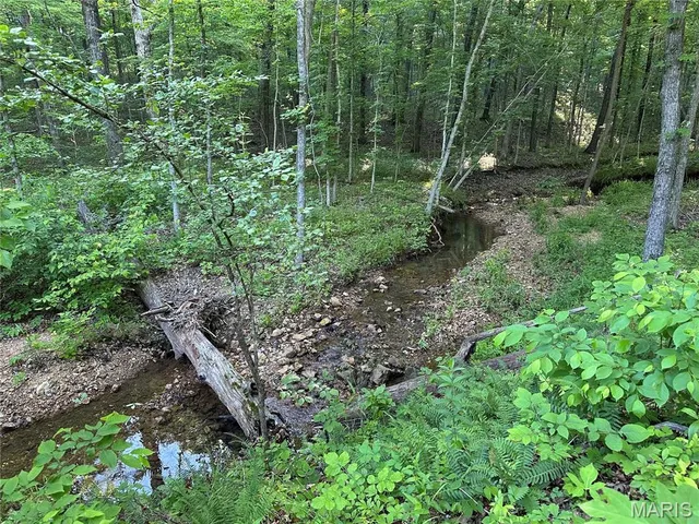 $199,900 | 0 Ray Hicks Road, Davisville, MO 65456