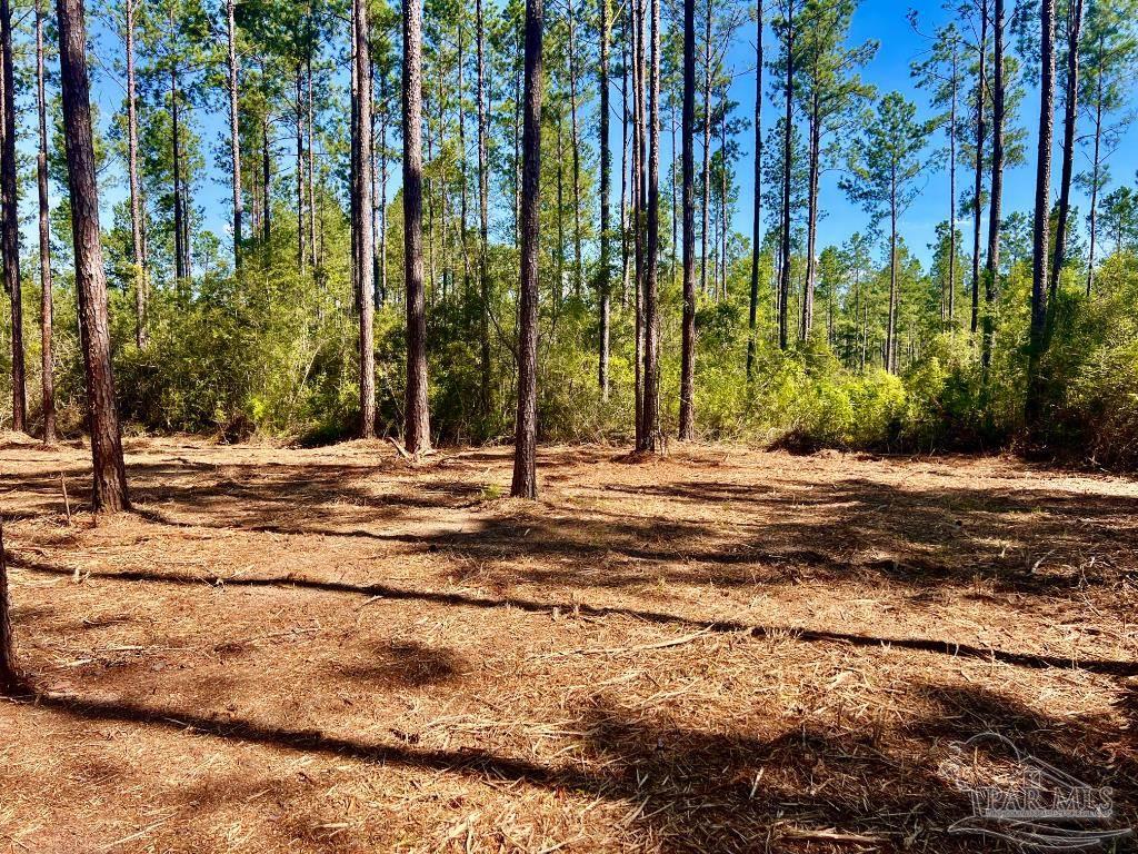 Lot 100 Turning Leaf Road Pace, FL 32571 - Photo 6 of 28 Gallery Image 6