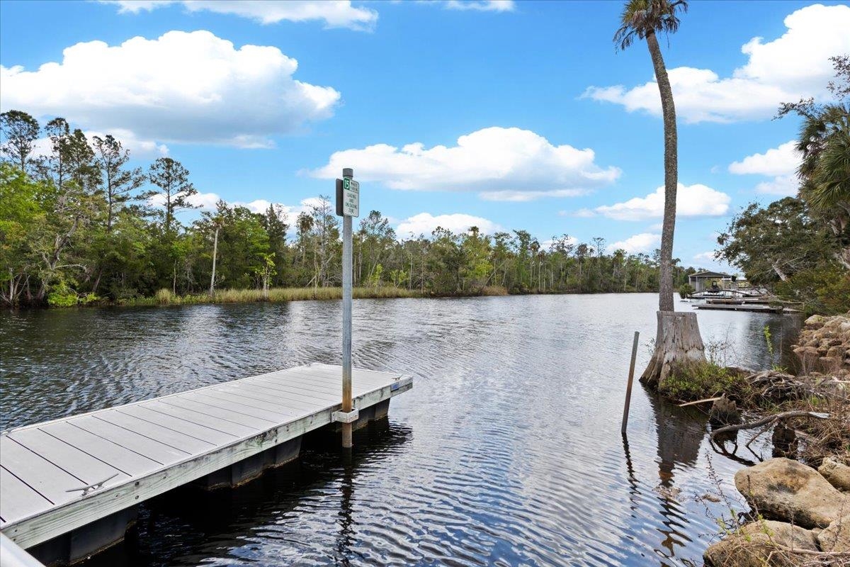 1226 Northeast Rivers Bend Way Steinhatchee, FL 32359 - Photo 28 of 70