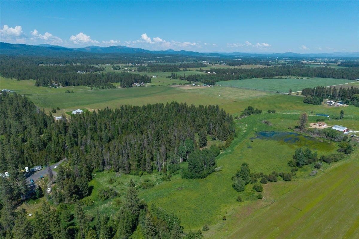 4668 Williams Valley Road Clayton, WA 99110 - Photo 7 of 44