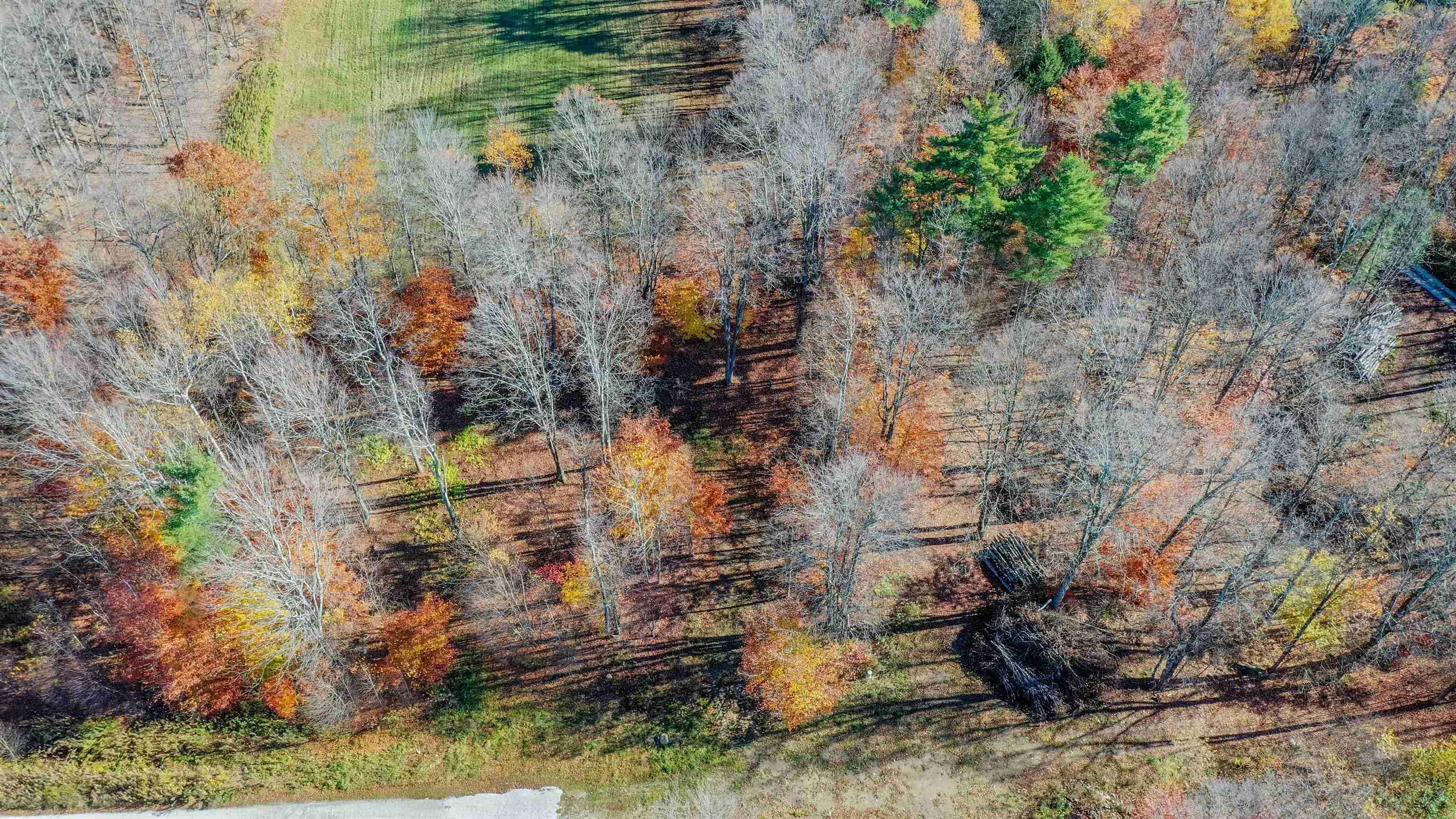 0 Lower Middle Road, Unit 11 Pittsford, VT 05763 - Photo 15 of 57
