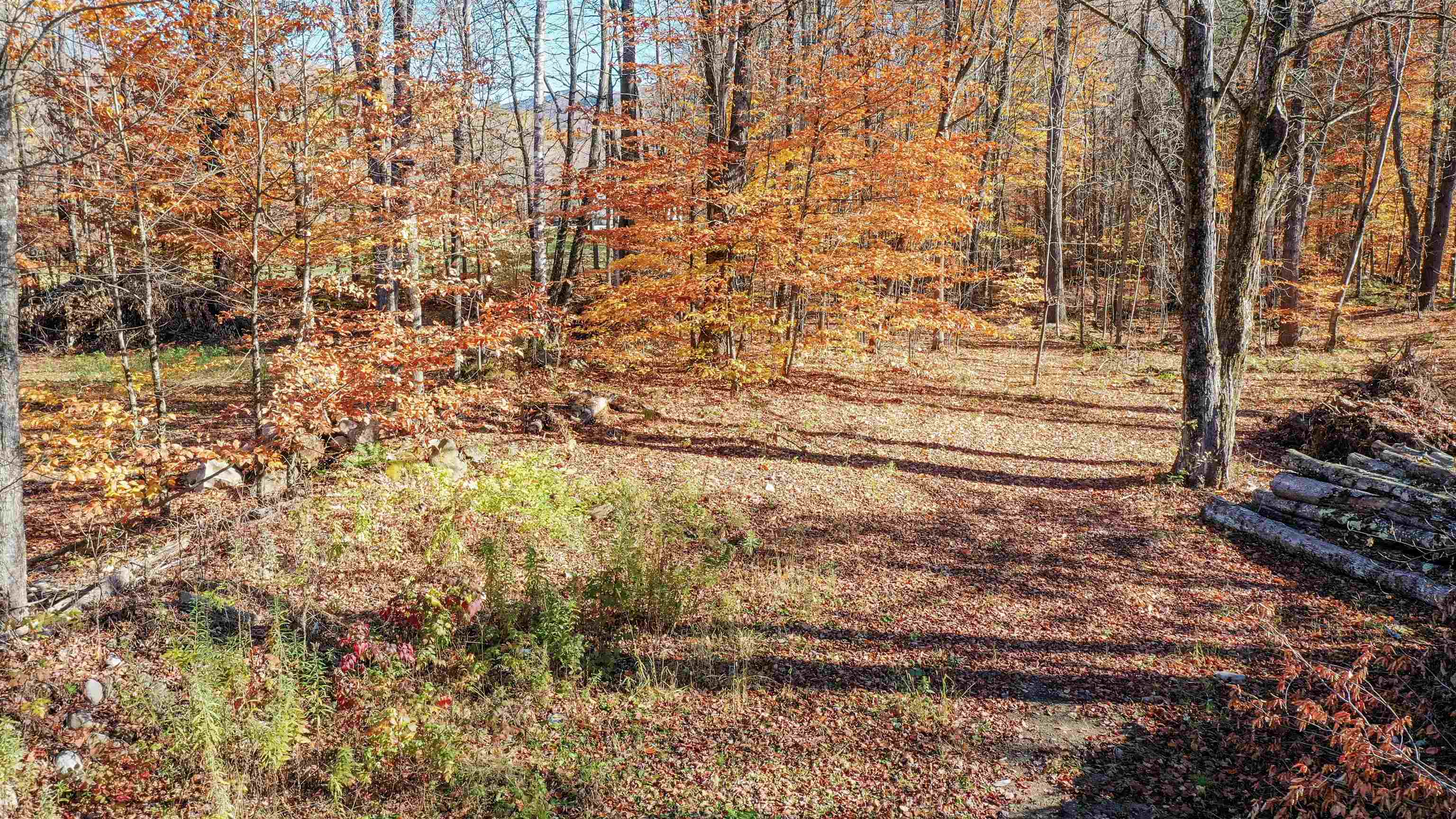 0 Lower Middle Road, Unit 11 Pittsford, VT 05763 - Photo 30 of 57