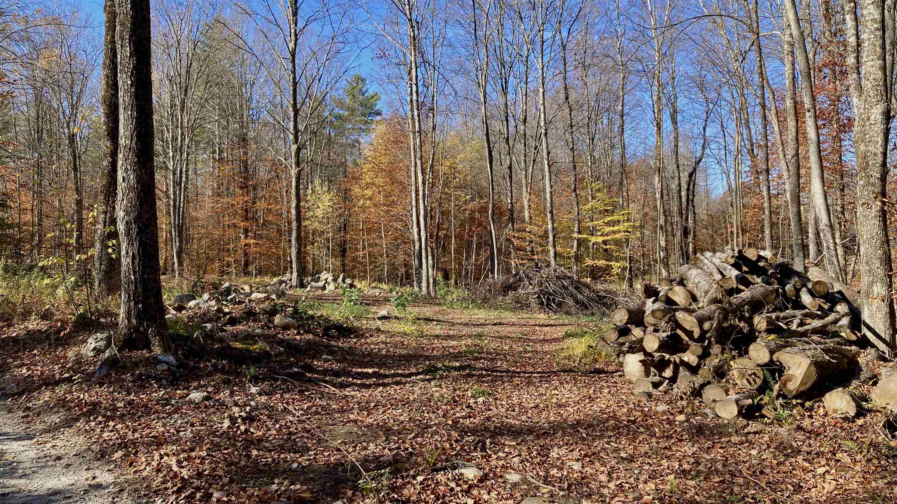 0 Lower Middle Road, Unit 11 Pittsford, VT 05763 - Photo 49 of 57