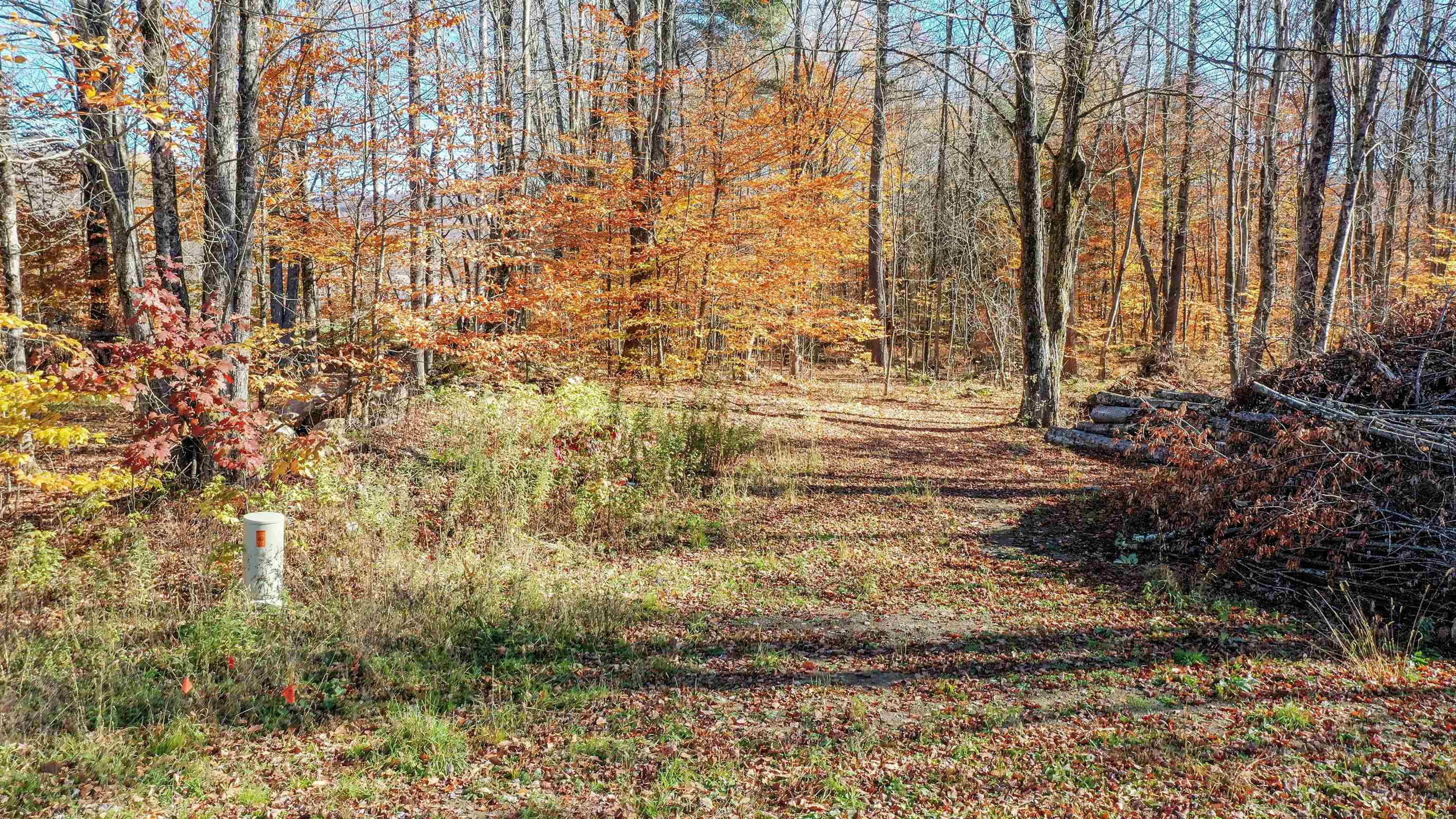 0 Lower Middle Road, Unit 11 Pittsford, VT 05763 - Photo 5 of 57