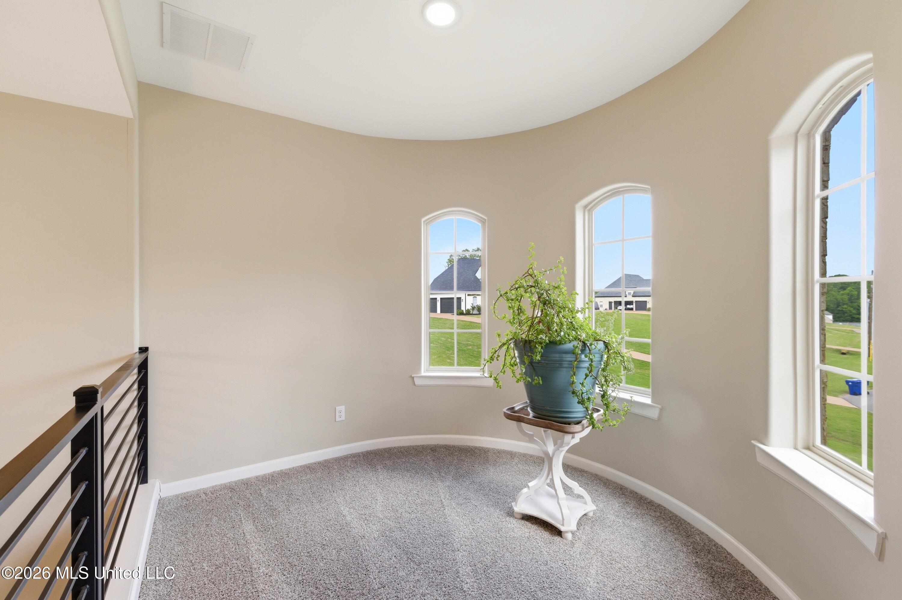 7818 Remington Cove Hernando, MS 38632 - Photo 24 of 49 934A5273