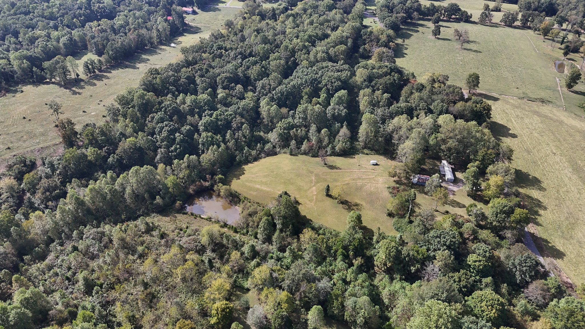 360 Pea Ridge Road Westmoreland, TN 37186 - Photo 8 of 36 Gallery Image 8