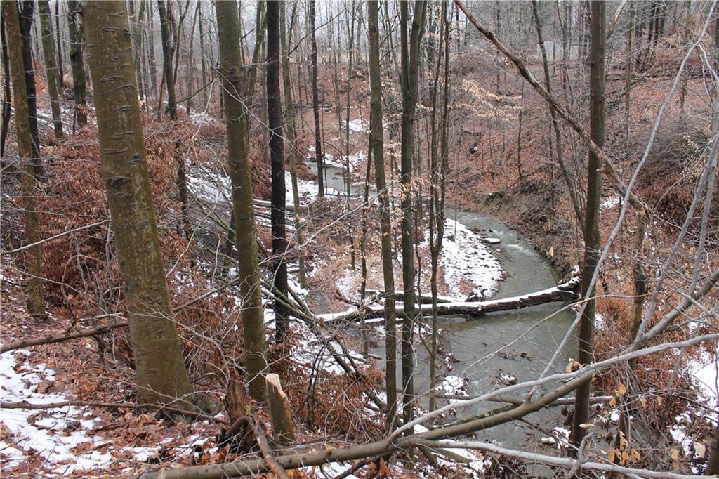 0 Ray Road Jamestown, PA 16134 - Photo 5 of 11 Gallery Image 5