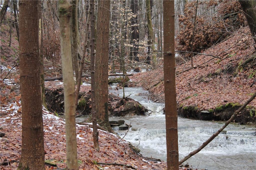 0 Ray Road Jamestown, PA 16134 - Photo 9 of 11 Gallery Image 9