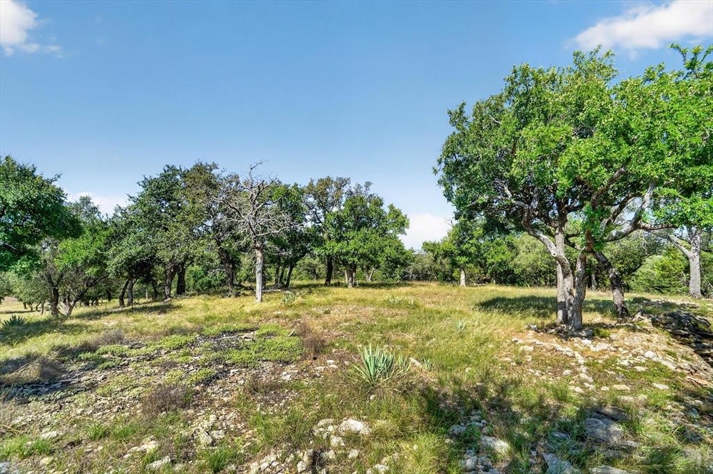 2 Armstrong Alley Strawn, TX 76475 - Photo 5 of 38 a view of outdoor space with trees all around