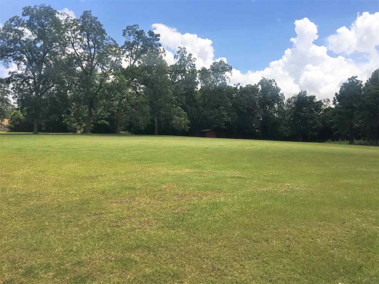 531 Rural Street Evergreen, AL 36401 - Photo 3 of 24