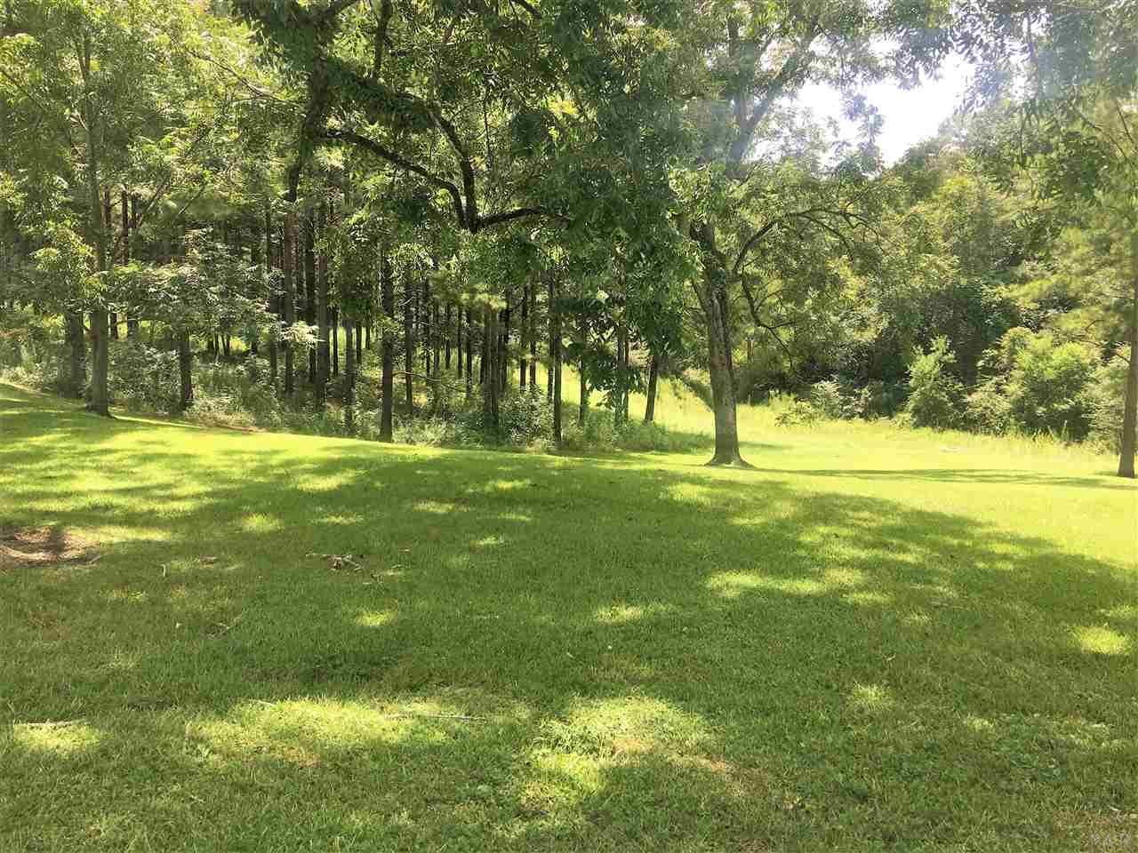 531 Rural Street Evergreen, AL 36401 - Photo 6 of 24