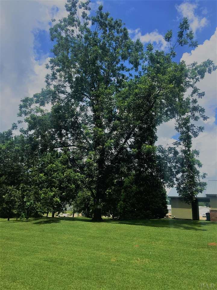 531 Rural Street Evergreen, AL 36401 - Photo 10 of 24