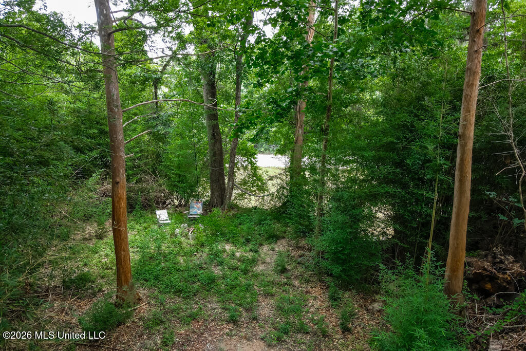 557 Walkiah Blf Road Picayune, MS 39466 - Photo 47 of 53 O_Aerial6