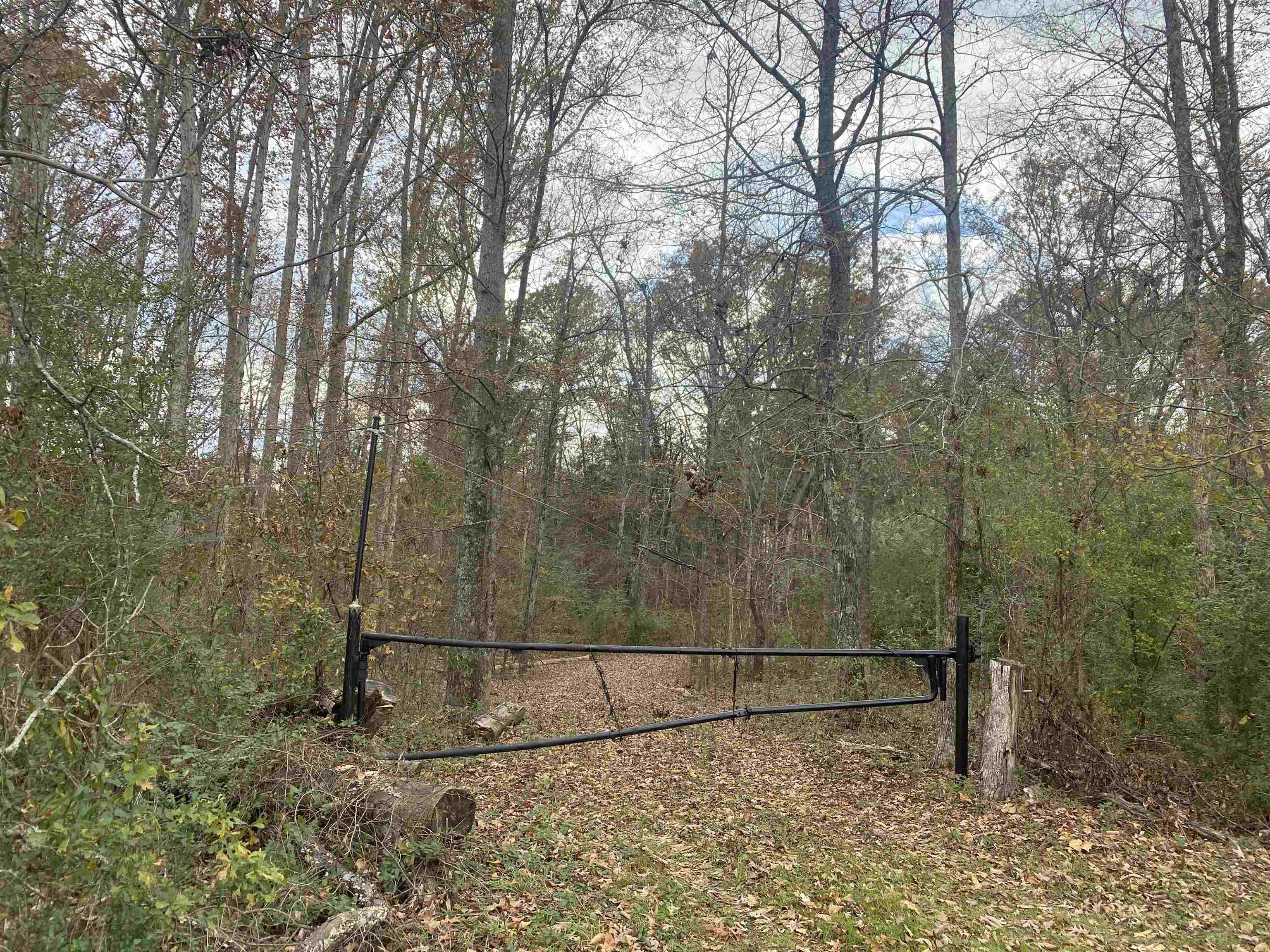 0 Dickson Road Sardis, TN 38371 - Photo 3 of 40 Gallery Image 3