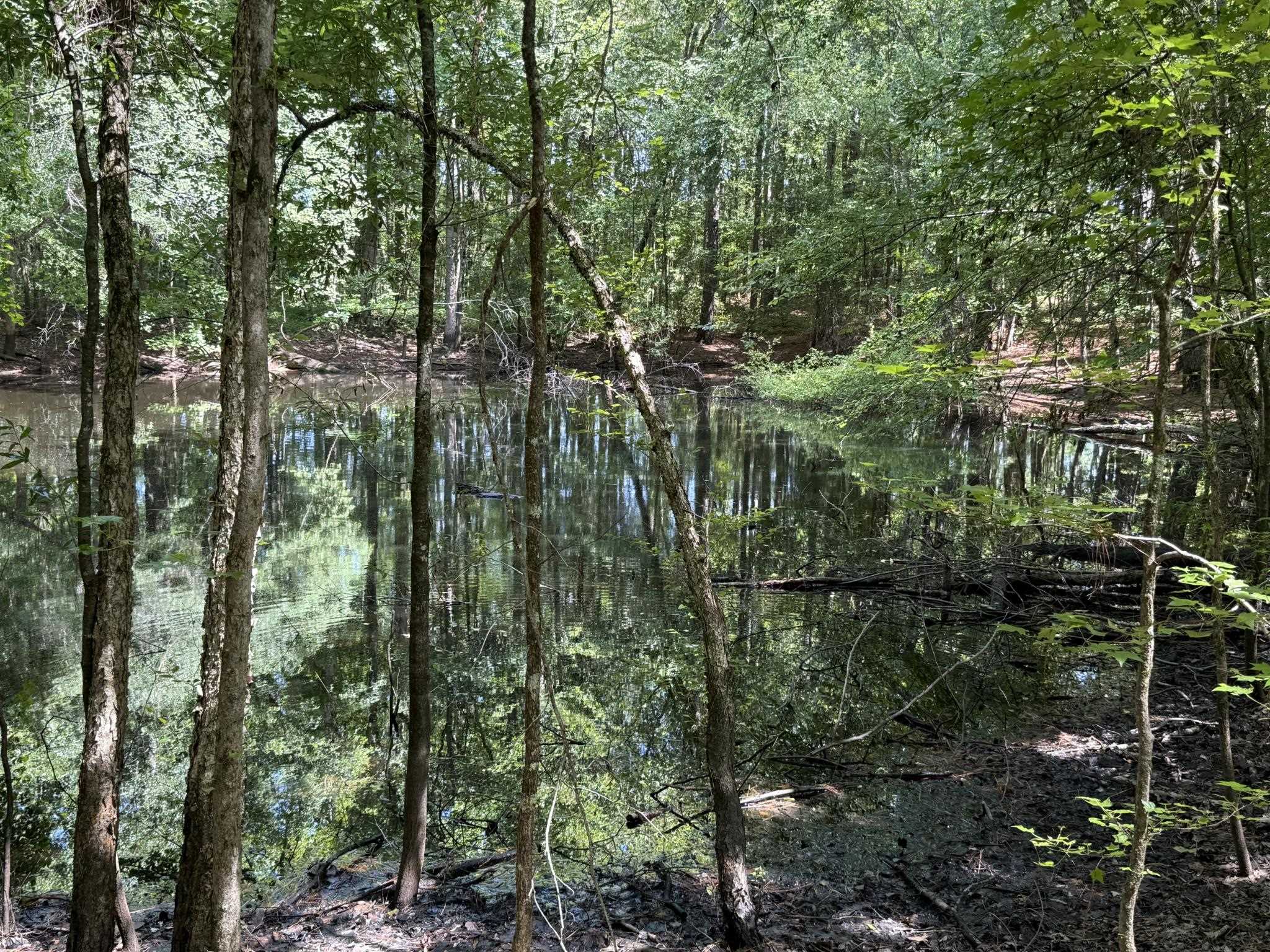 0 Dickson Road Sardis, TN 38371 - Photo 39 of 40 Gallery Image 39