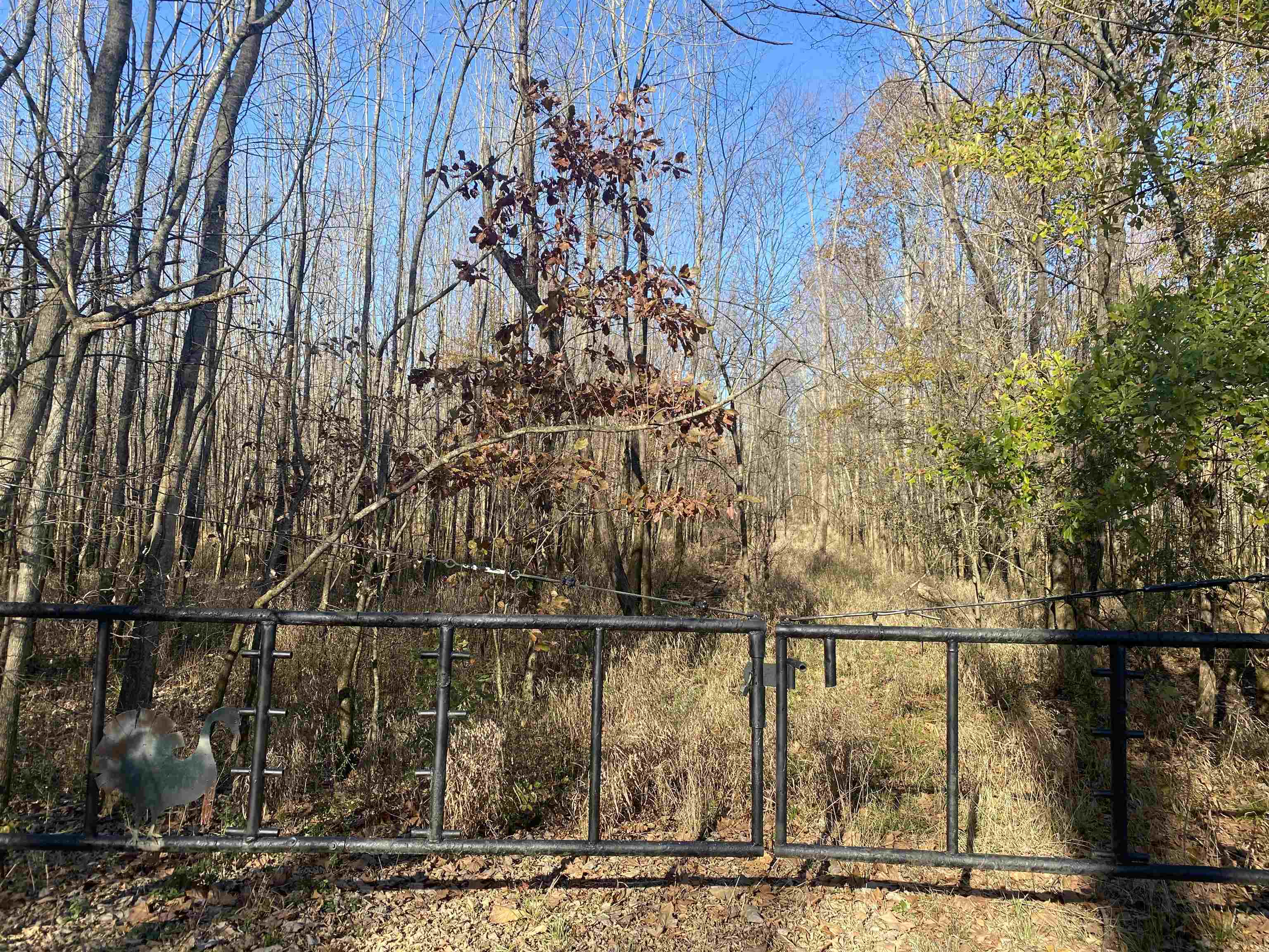 0 Dickson Road Sardis, TN 38371 - Photo 4 of 40 Gallery Image 4