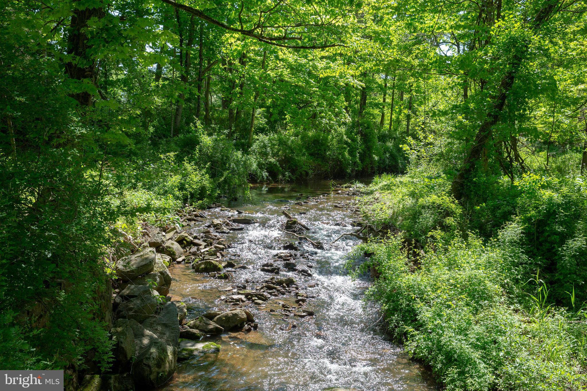 3705 Aquetong Road Carversville, PA 18913 - Photo 3 of 53 Panacussing Creek